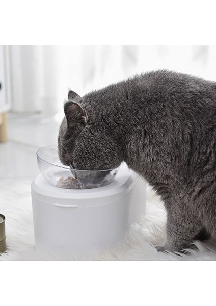 Pet Çift Kase Kedi Köpek Şeffaf Kaymaz Gıda Kase Koruma ile Servikal Şeffaf Yüksek Kalite | Kedi Besleme ve sulama Malzemeleri (Yurt Dışından)