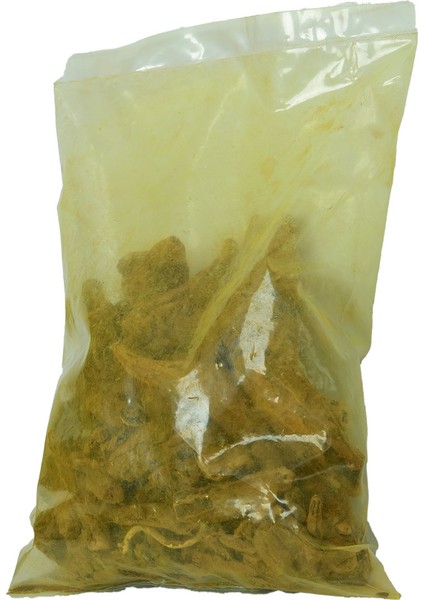 Ravent Kökü 1000 gr