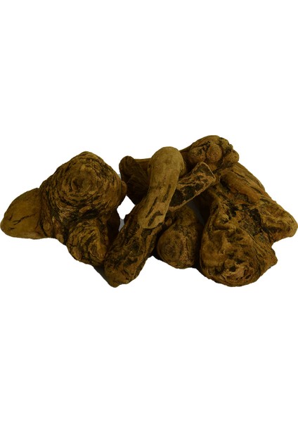 Ravent Kökü 1000 gr