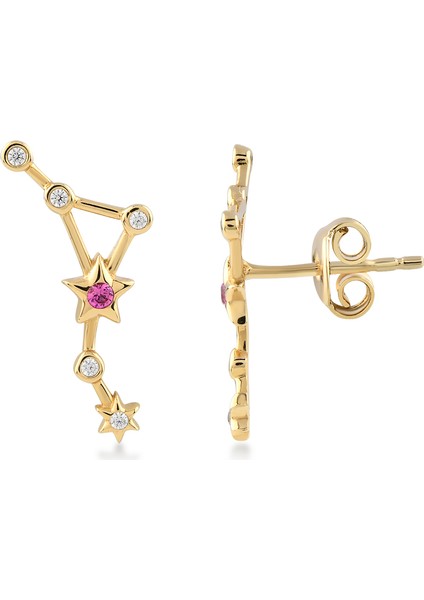 Terazi Burcu Gümüş Küpe KPFG.106