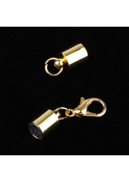 Takı Yapımı Için Manyetik Istakoz Klipsleri 2 Adet (Yurt Dışından) fırsatları