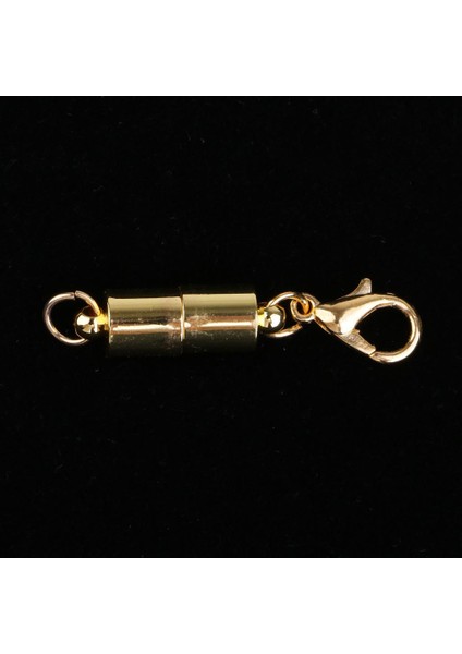 Takı Yapımı Için Manyetik Istakoz Klipsleri 2 Adet (Yurt Dışından) indirimleri