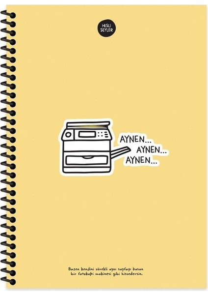 Hisli Şeyler 17X24 100 Yp Kareli Spiralli Sert Kapak - Aynen