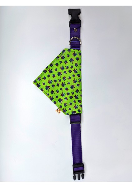 Leaves Fularlı Köpek Boyun Tasması