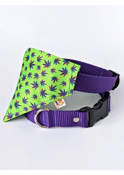 Leaves Fularlı Köpek Boyun Tasması fiyatları