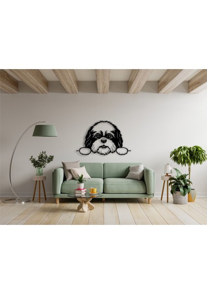 , Tatlış Köpek