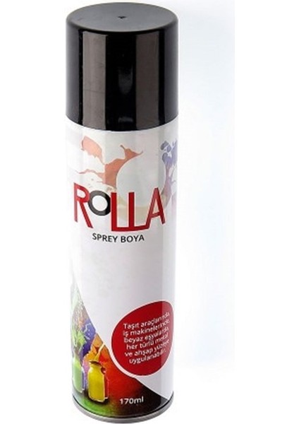 Mat Siyah Sprey Boya