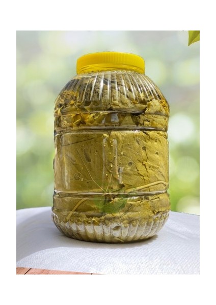 Salihli Yeni Mahsul Salamura Yaprak 3000G