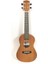 AU006L-23 Ukulele 23 Concert 1