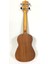 AU006L-23 Ukulele 23 Concert 2