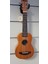 AU07L-21 Winzz Soprano Ukulele Maun 1