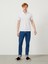 Polo Yaka Pamuklu Slim Fit Basic T-Shirt 2