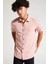 Slim Fit Basic Kısa Kollu Gömlek R1706AZ21SM 8