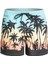 Everyday Paradise 15" Erkek Deniz Şortu EQYJV03861 1