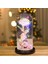 Sonsuza Galaxy Gül Çiçek Lambası Renkli LED Işıkları ile Sevgililer Günü Prenses Kucaklama 3