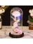 Sonsuza Galaxy Gül Çiçek Lambası Renkli LED Işıkları ile Sevgililer Günü Prenses Kucaklama 5