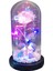 Gül Çiçekler Sonsuza Enchanted Gül Renkli LED Işık Cam Dome ile Stil2 3