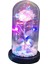 Gül Çiçekler Sonsuza Enchanted Gül Renkli LED Işık Cam Dome ile Stil2 4