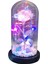 Gül Çiçekler Sonsuza Enchanted Gül Renkli LED Işık Cam Dome ile Stil2 5