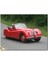 Cakatablo Kırmızı Jaguar Xk 120 1