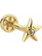 Altın Deniz Yıldız Tragus Piercing 14 Ayar 2