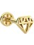 Altın Diamond Tragus Piercing 14 Ayar 2