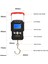 50KG / 10G LCD Dijital Ekran Arka Işık Taşınabilir Asılı Kanca Ölçeği Çift Hassasiyet Balıkçılık Seyahat Mini Elektronik Tartı Ölçeği | Mutfak Terazi (Yurt Dışından) 2