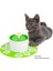 1.6l Otomatik Kedi Su Çeşmesi Elektrikli Dilsiz Su Besleyici Köpek Pet Içeriye Bowl Pet Içme Dağıtıcı Kömür Filtresi ile | Köpek Besleme (Yurt Dışından) 4