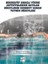 Rekreatif Amaçlı Yüzme Aktivitelerine Katılan Bireylerin Serbest Zaman Tatmin Düzeyleri-Hüseyin Numanoğlu-Doç.dr. Abdurrahman Kırtepe 1