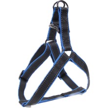 Zampa Flora Köpek Gövde Tasması Siyah Medium 1,9X40-60 cm