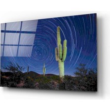 Eliza Home  Manzara Cam Tablo