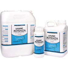 Potenza 1 Lt