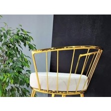 J&S Quality Özgün Tasarımı, Şıklığı, Konforu ve Kaplama Altın Sarısı Rengi ile 75 Cm. Oturumlu Bar Taburesi.