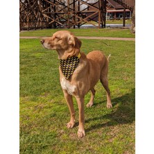 Utd Pet Zeus Fularlı Köpek Boyun Tasması