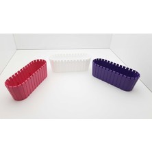 Be Beauty Plastik Sur Görünümlü Üçlü Sukulent ve Kaktüs Saksısı 6X18 cm 3 Adet