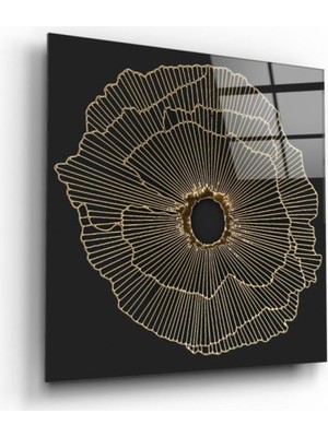 Miraax Desen Cam Tablo