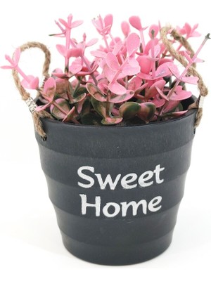 Eva Dekor Sweet Home Yazılı Pempe Yapay Çiçekli Ipli Plastik Siyah Kova Saksı 10X12 cm