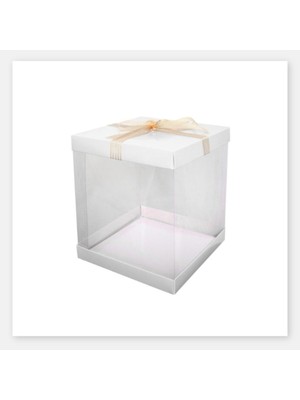 Megaw 30*30*20 Asetat Kutu