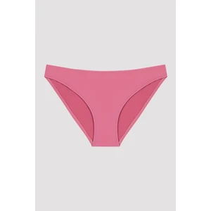 Gül Kurusu Basic Slip Bikini Altı