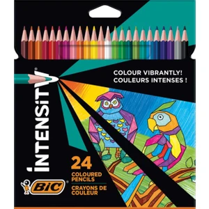 Intensity Kuru Boya Kalemi 24 Renk
