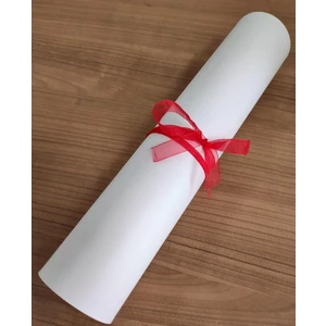 Amerikan Servis 42x30 Cm. 4 ADET BEYAZ RENK