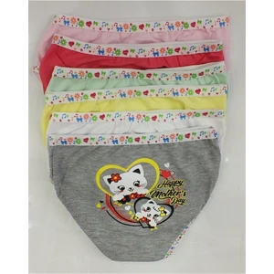 Erkek Cocuk Baskılı Rengarenk Baskılı Pamuklu 6 Adet Külot