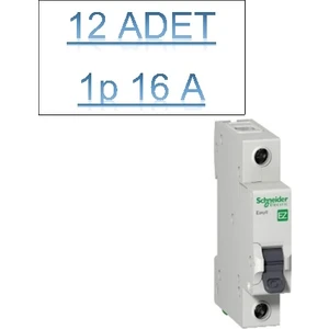 12 Adet 16AMPER Schneider  Otomatik Sigorta C Tipi