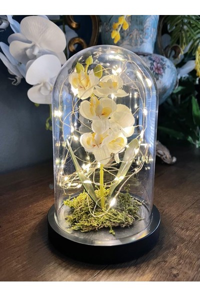 Nettenevime Faunus Içerisinde Işıklı Yapay Beyaz Orkide Anneler Günü Özel Hediye