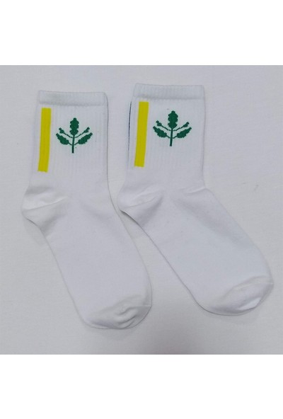 Çorap Kurdu Beyaz Unisex Palamut Desenli Çorap