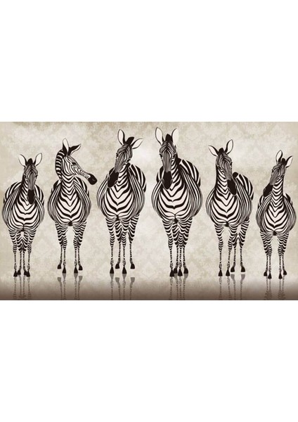 Zebra 3D Poster - 3 Boyutlu Tek Parça Duvar Kağıdı