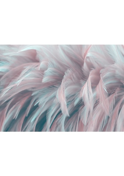 Tüy 3D Poster - 3 Boyutlu Tek Parça Duvar Kağıdı