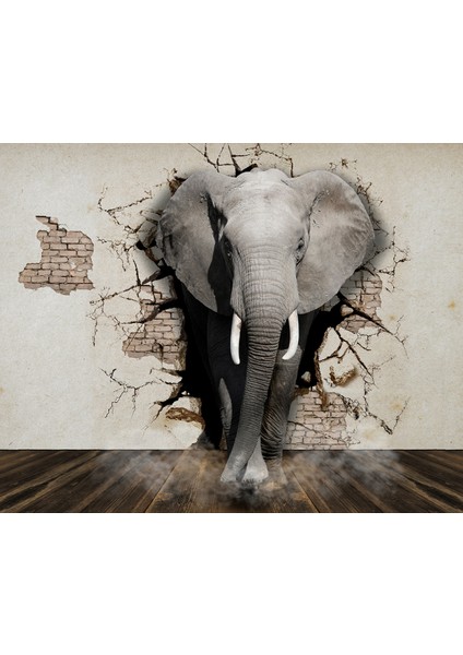 Fil 3D Poster - 3 Boyutlu Tek Parça Duvar Kağıdı