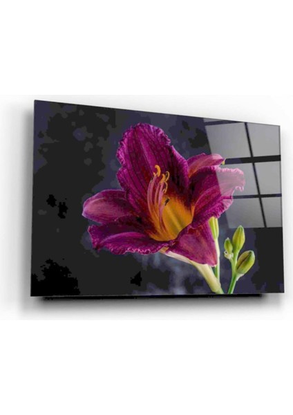 Eliza Home Çiçek Cam Tablo fiyatları