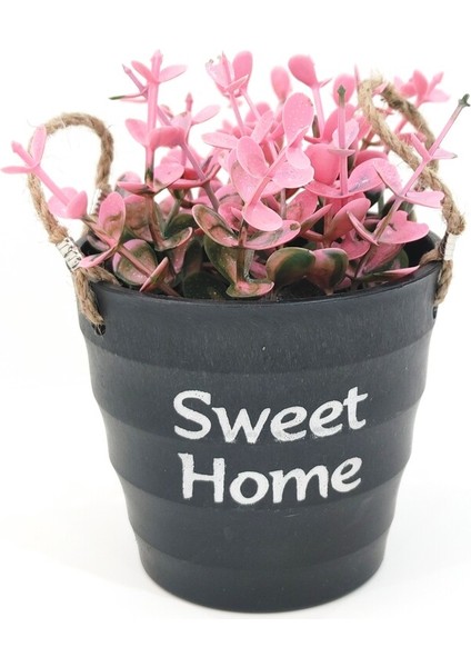 Sweet Home Yazılı Pempe Yapay Çiçekli Ipli Plastik Siyah Kova Saksı 10X12 cm